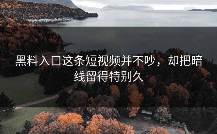 黑料入口这条短视频并不吵，却把暗线留得特别久