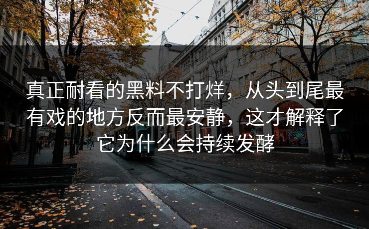 真正耐看的黑料不打烊，从头到尾最有戏的地方反而最安静，这才解释了它为什么会持续发酵
