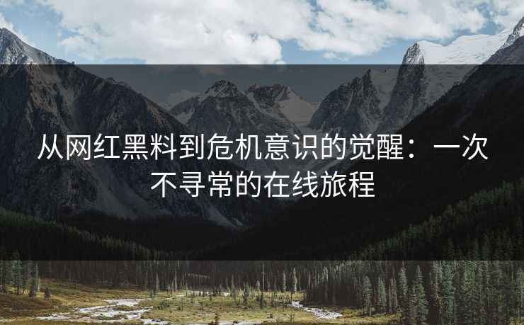 从网红黑料到危机意识的觉醒：一次不寻常的在线旅程
