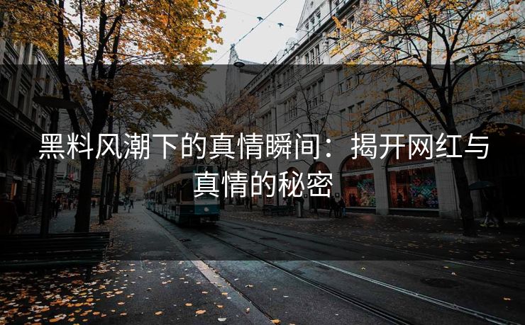 黑料风潮下的真情瞬间：揭开网红与真情的秘密