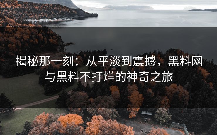 揭秘那一刻：从平淡到震撼，黑料网与黑料不打烊的神奇之旅