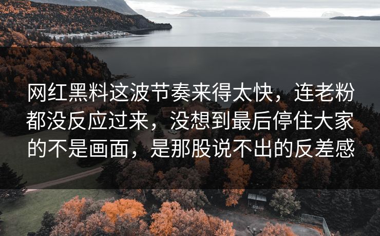 网红黑料这波节奏来得太快，连老粉都没反应过来，没想到最后停住大家的不是画面，是那股说不出的反差感