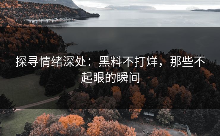探寻情绪深处：黑料不打烊，那些不起眼的瞬间