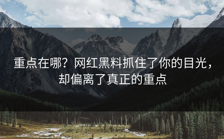 重点在哪？网红黑料抓住了你的目光，却偏离了真正的重点