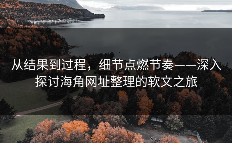 从结果到过程，细节点燃节奏——深入探讨海角网址整理的软文之旅