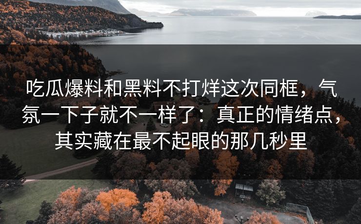 吃瓜爆料和黑料不打烊这次同框,气氛一下子就不一样了:真正的情绪点,其实藏在最不起眼的那几秒里 吃瓜爆料和黑料不打烊这次同框,气氛一下子就不一样了:真正的情绪点,其实藏在最不起眼的那几秒里